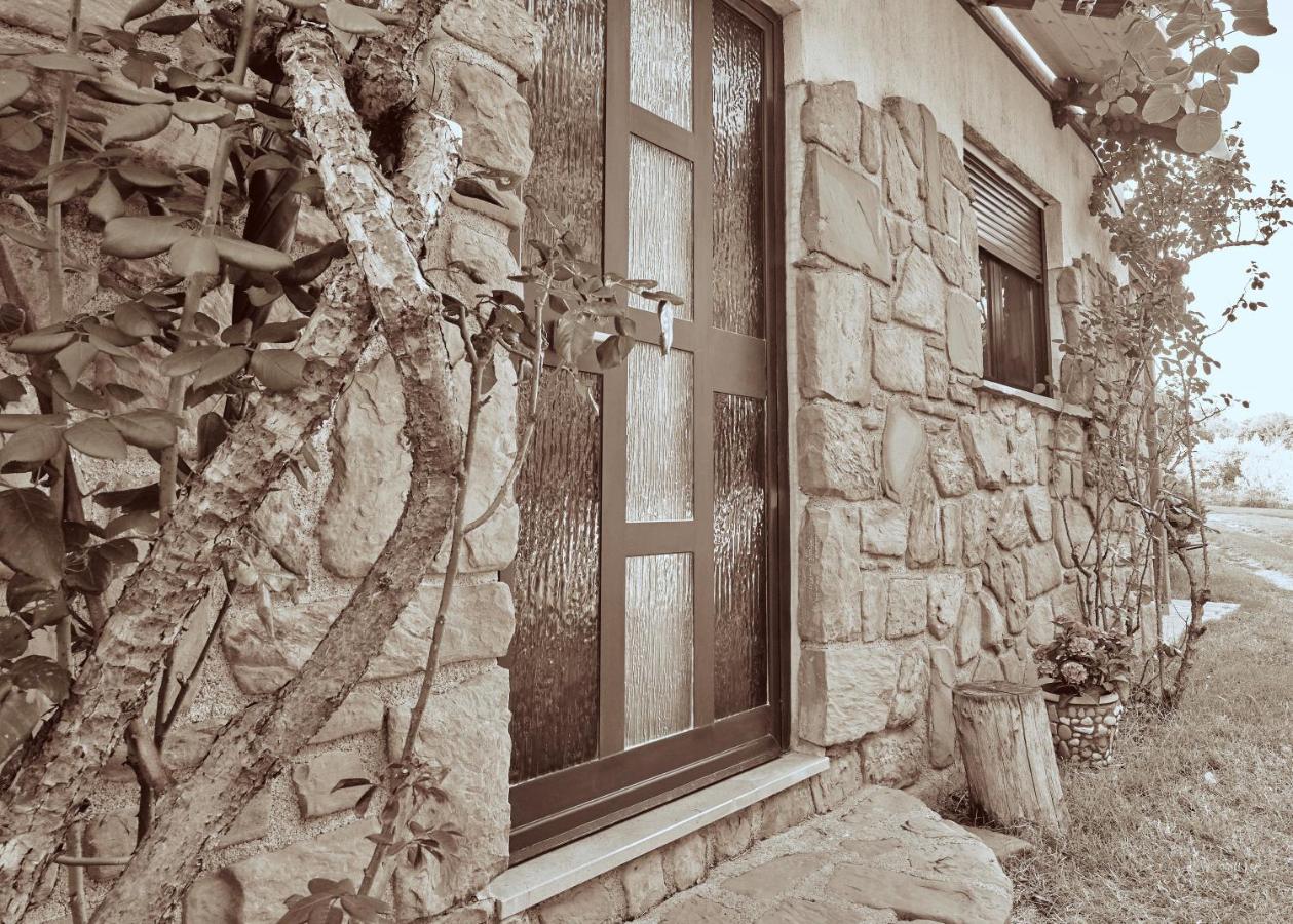 Baredinka Izola Apartment Bagian luar foto